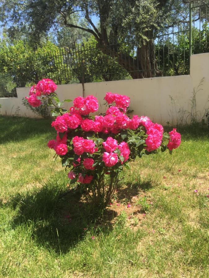 Ligia  Lovely Apartment Next To The Sea Lygia Korinthias מראה חיצוני תמונה