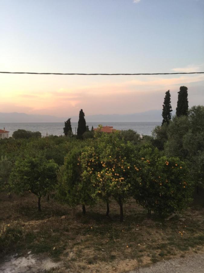 Ligia  Lovely Apartment Next To The Sea Lygia Korinthias מראה חיצוני תמונה